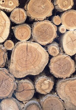 Holzstapel Blick auf Schnittflächen